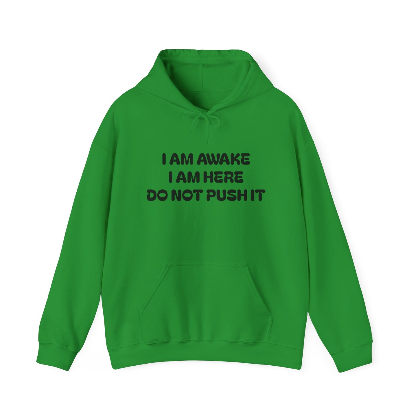 Hooded Sweatshirt - I am Awake I am Here Design