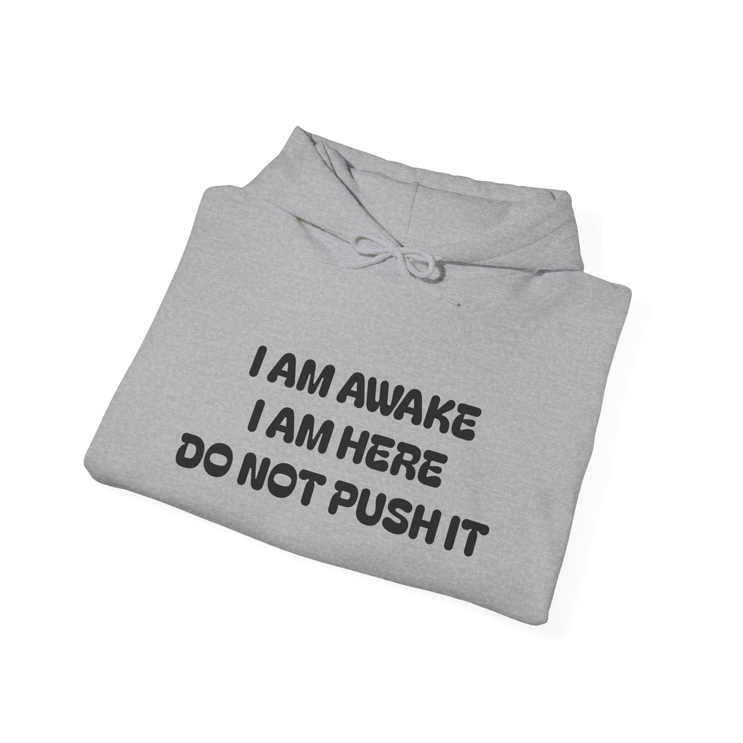 Hooded Sweatshirt - I am Awake I am Here Design