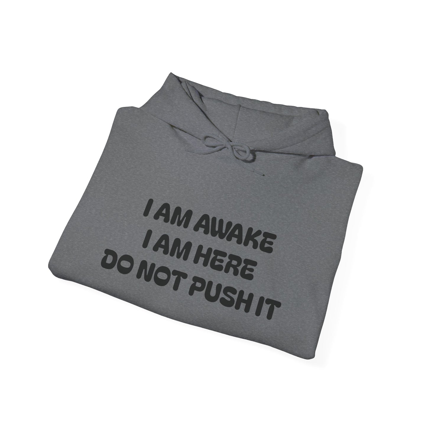 Hooded Sweatshirt - I am Awake I am Here Design