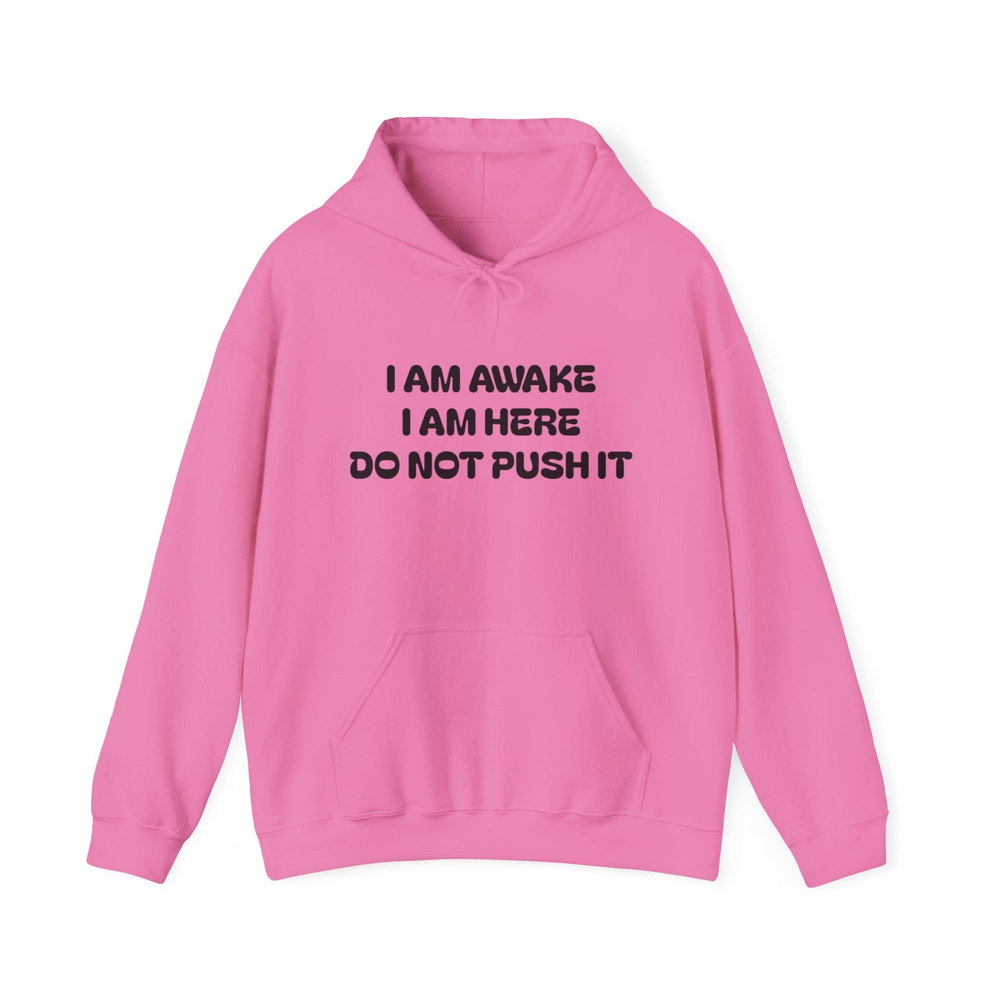 Hooded Sweatshirt - I am Awake I am Here Design