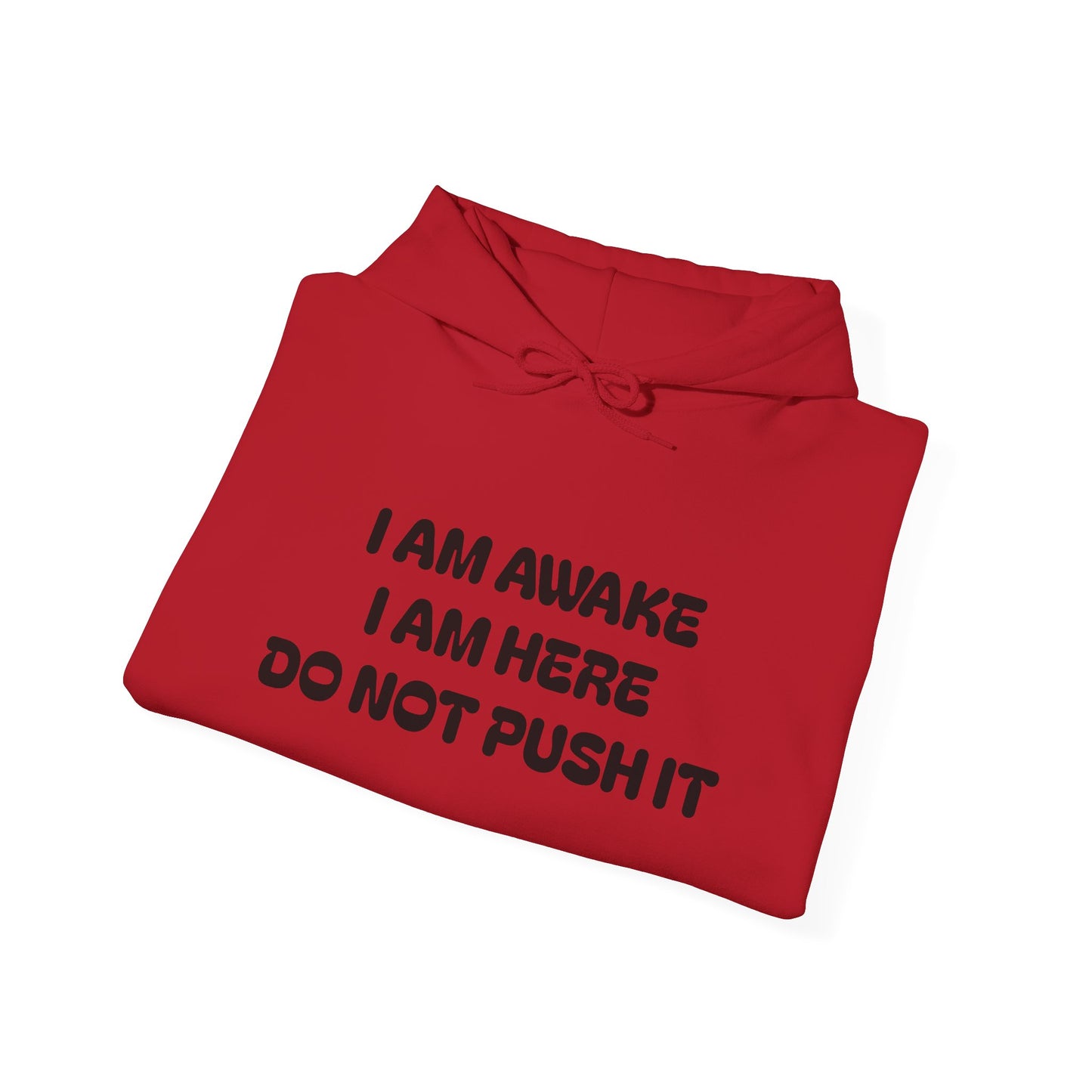 Hooded Sweatshirt - I am Awake I am Here Design