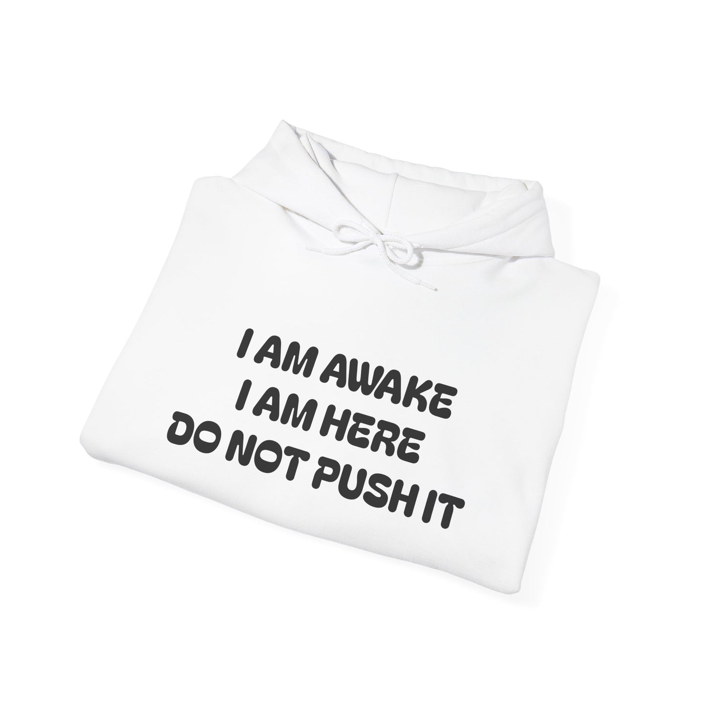 Hooded Sweatshirt - I am Awake I am Here Design