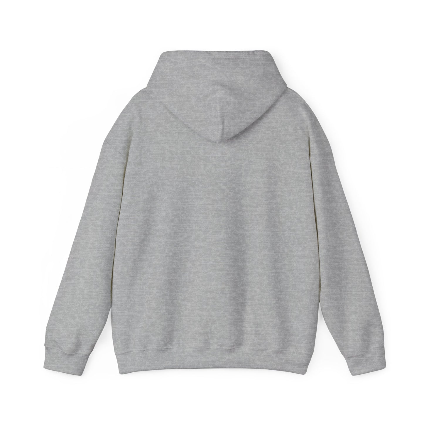 Hooded Sweatshirt - I am Awake I am Here Design