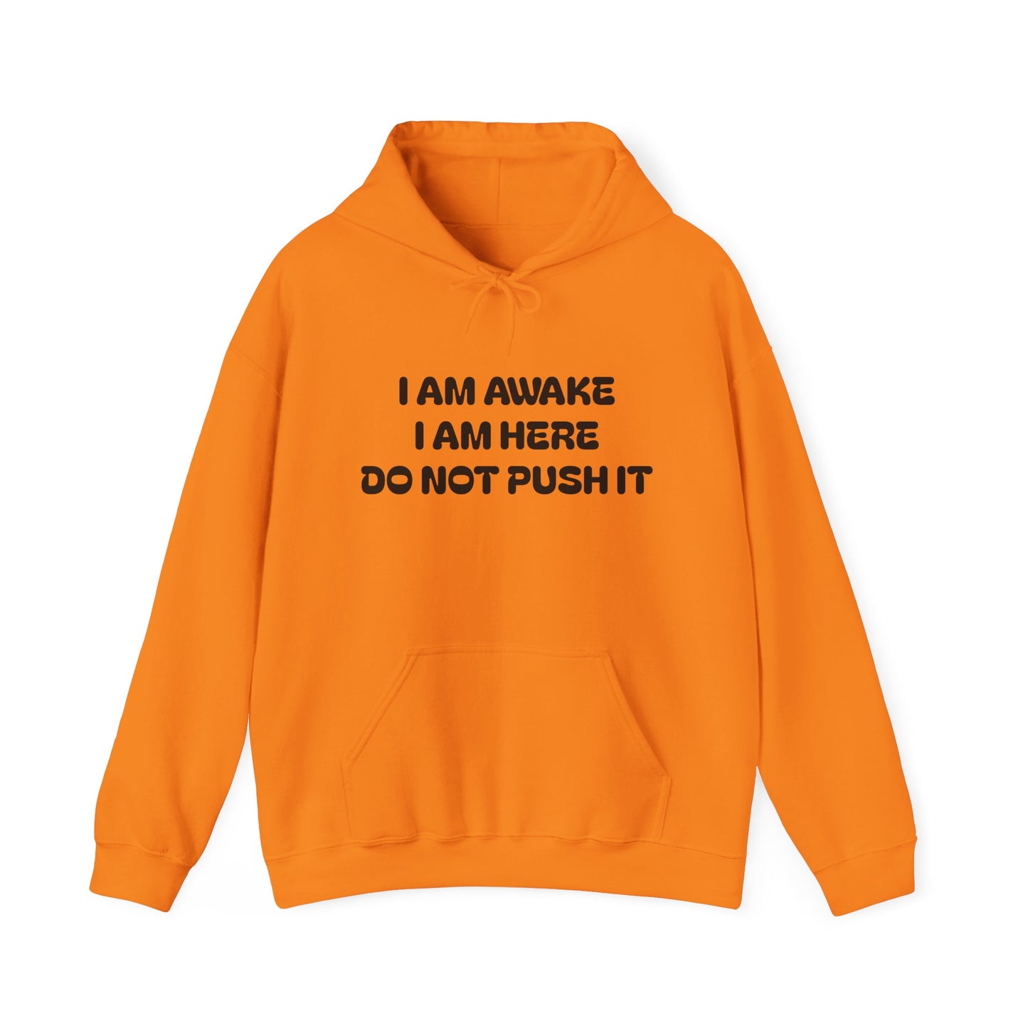 Hooded Sweatshirt - I am Awake I am Here Design