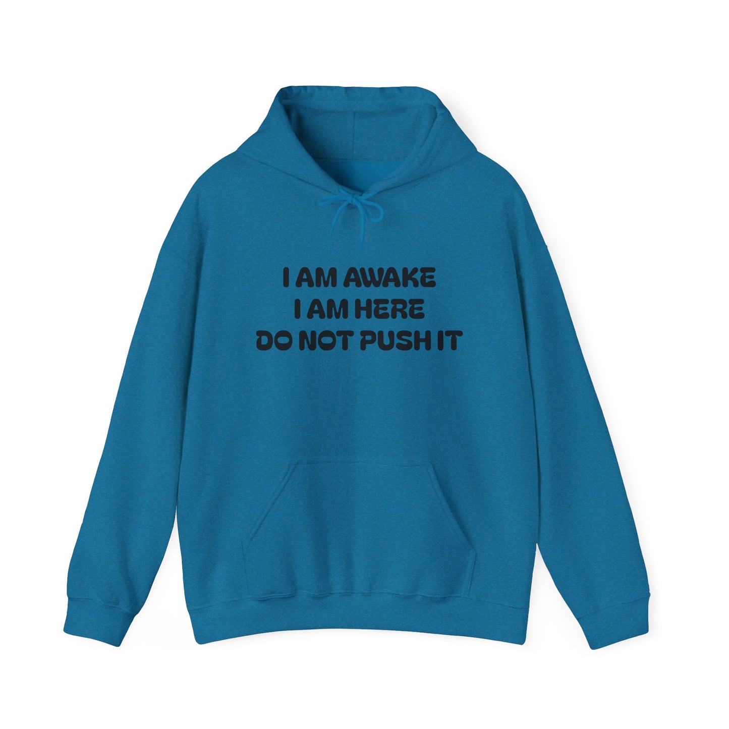 Hooded Sweatshirt - I am Awake I am Here Design