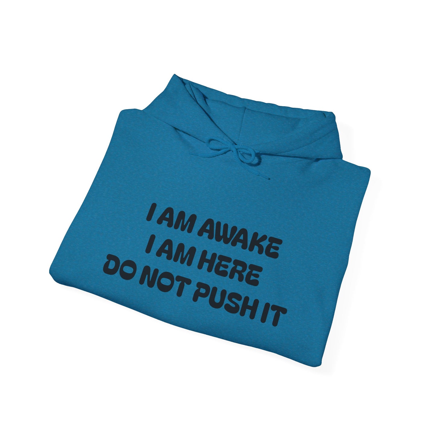 Hooded Sweatshirt - I am Awake I am Here Design