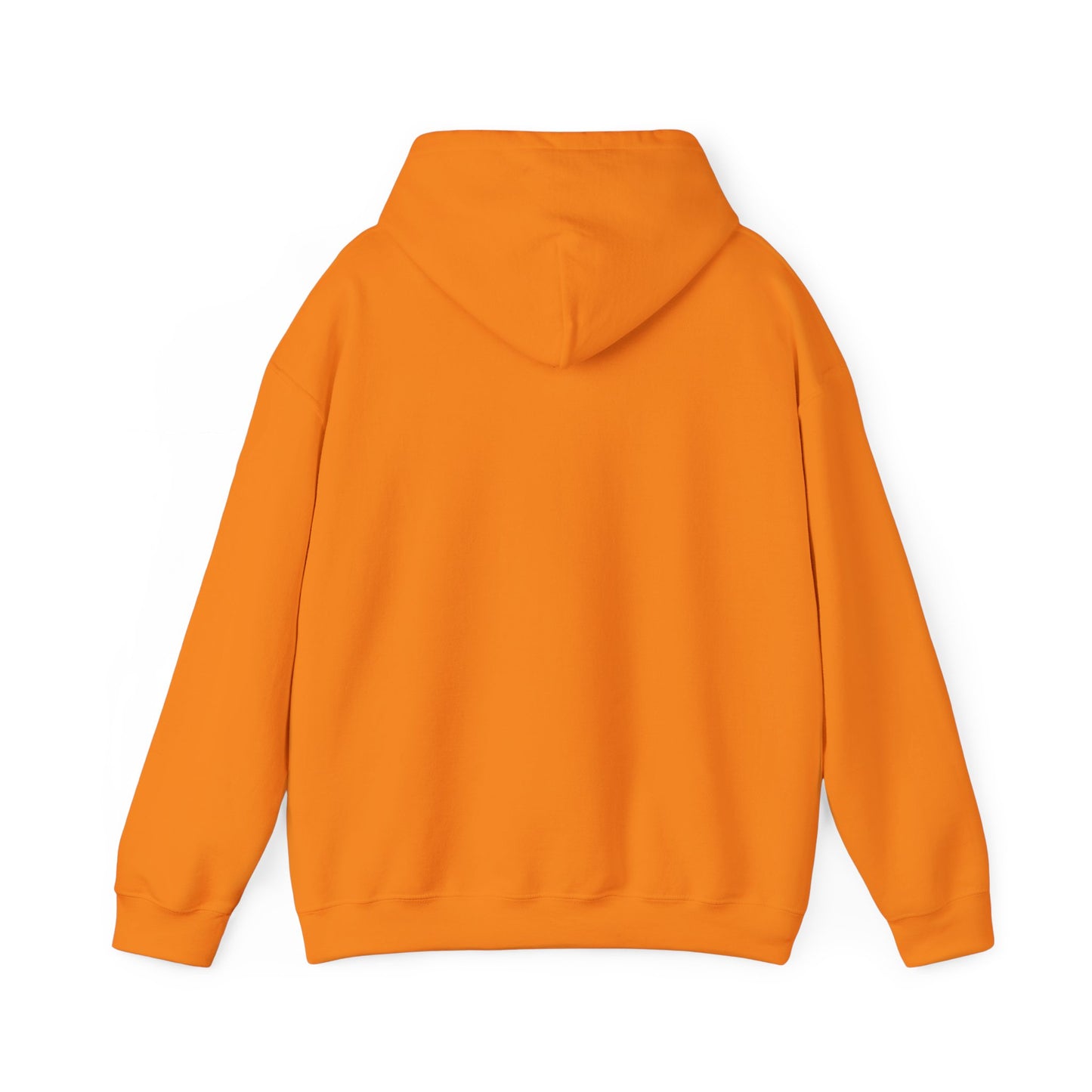 Hooded Sweatshirt - I am Awake I am Here Design