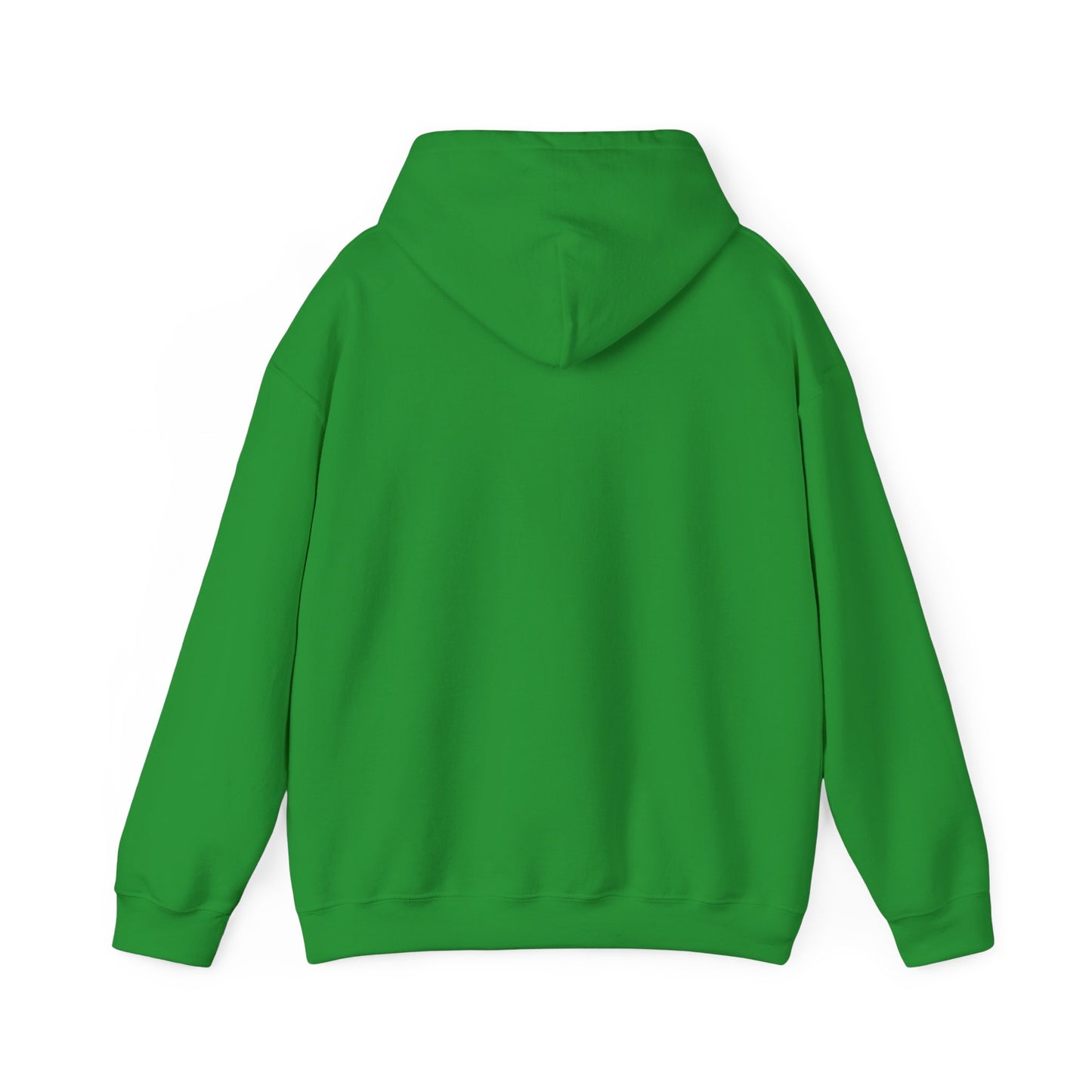 Hooded Sweatshirt - I am Awake I am Here Design