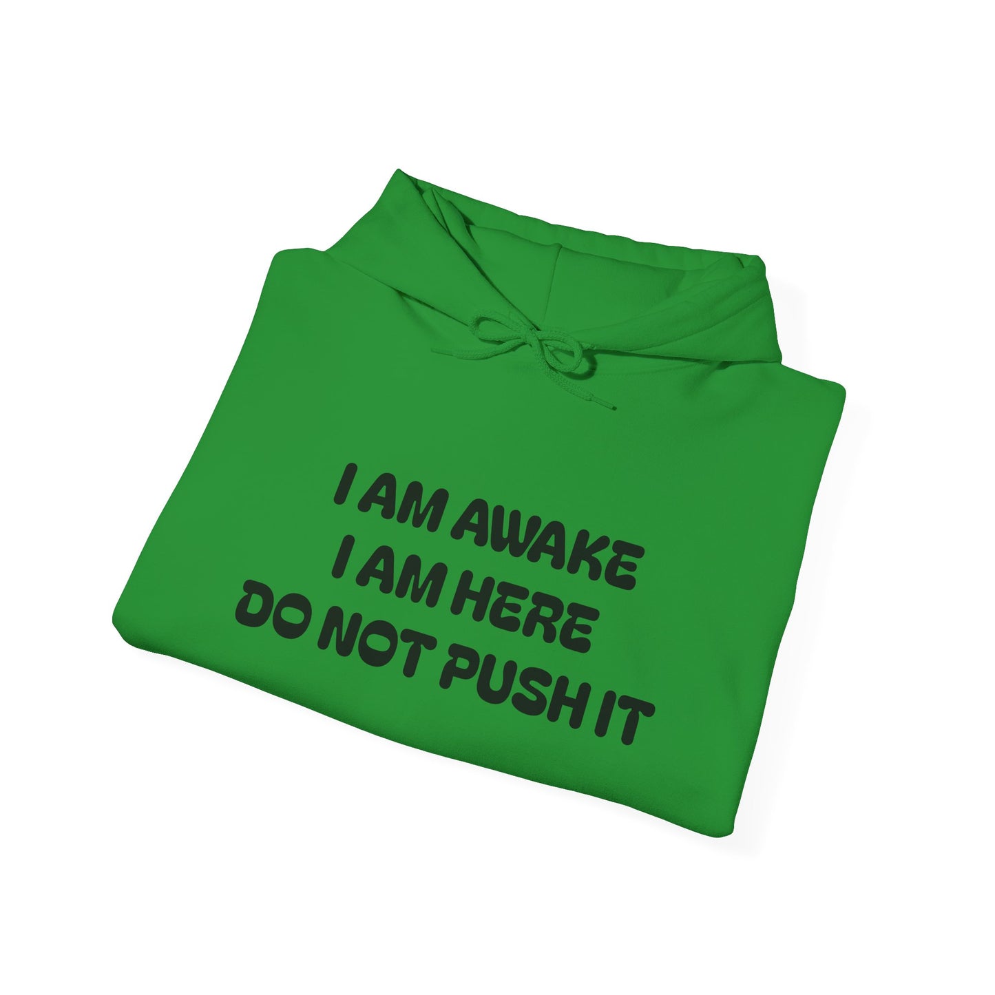 Hooded Sweatshirt - I am Awake I am Here Design