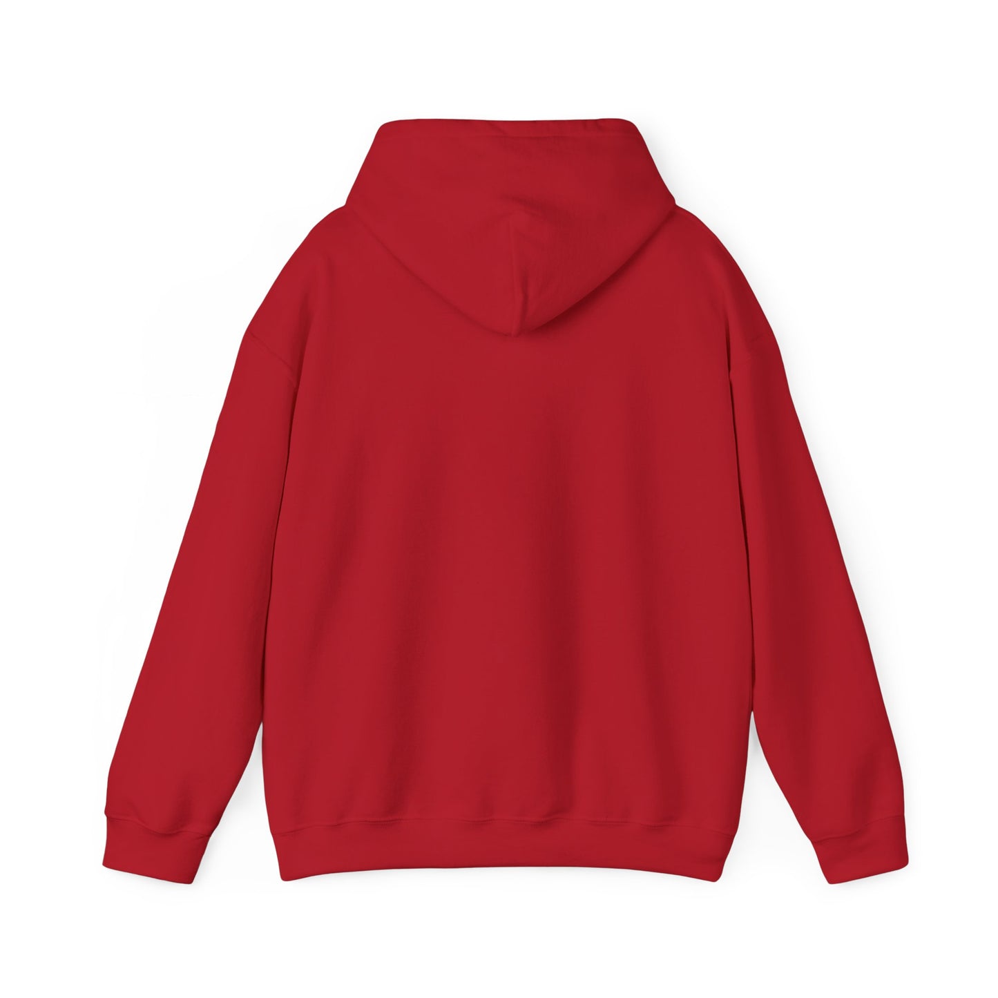 Hooded Sweatshirt - I am Awake I am Here Design