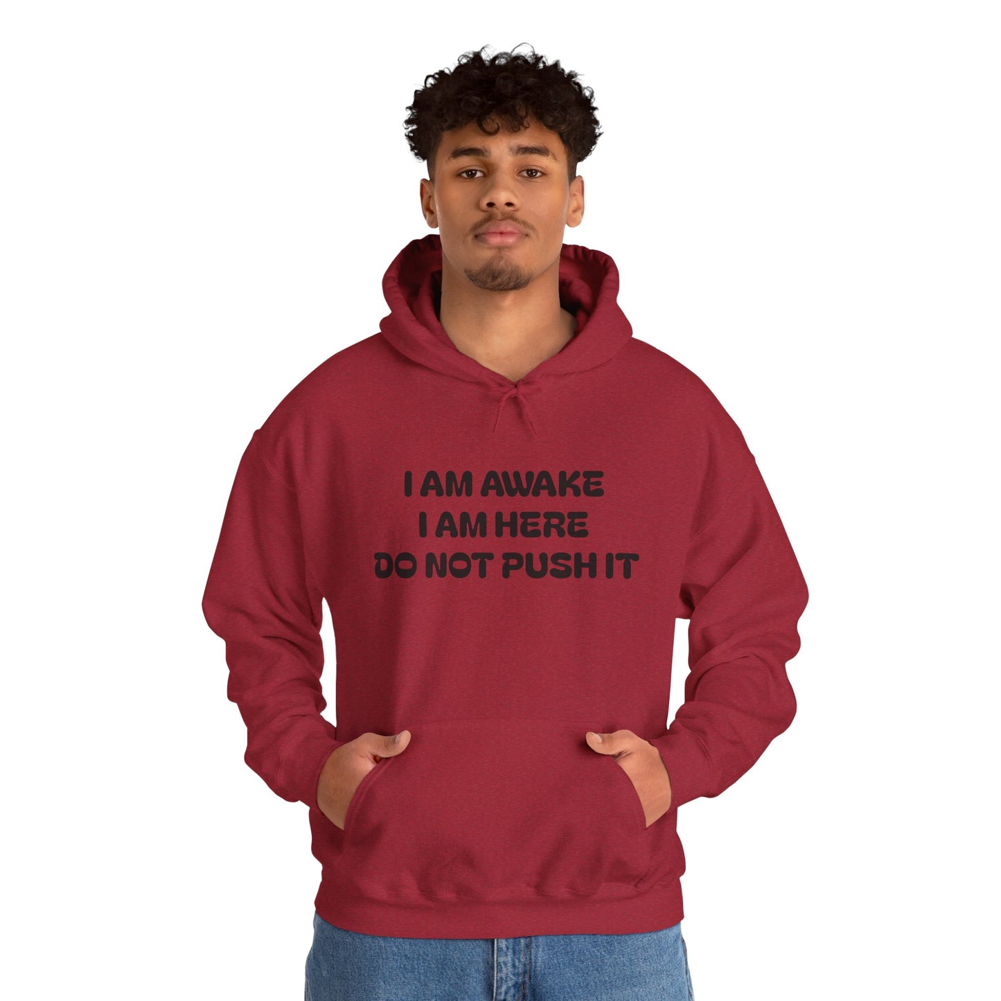 Hooded Sweatshirt - I am Awake I am Here Design