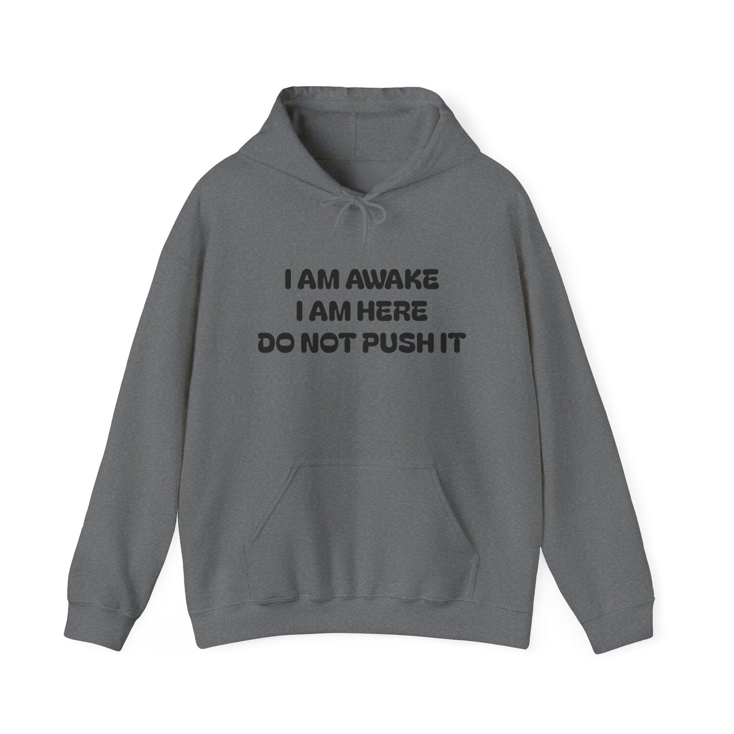 Hooded Sweatshirt - I am Awake I am Here Design