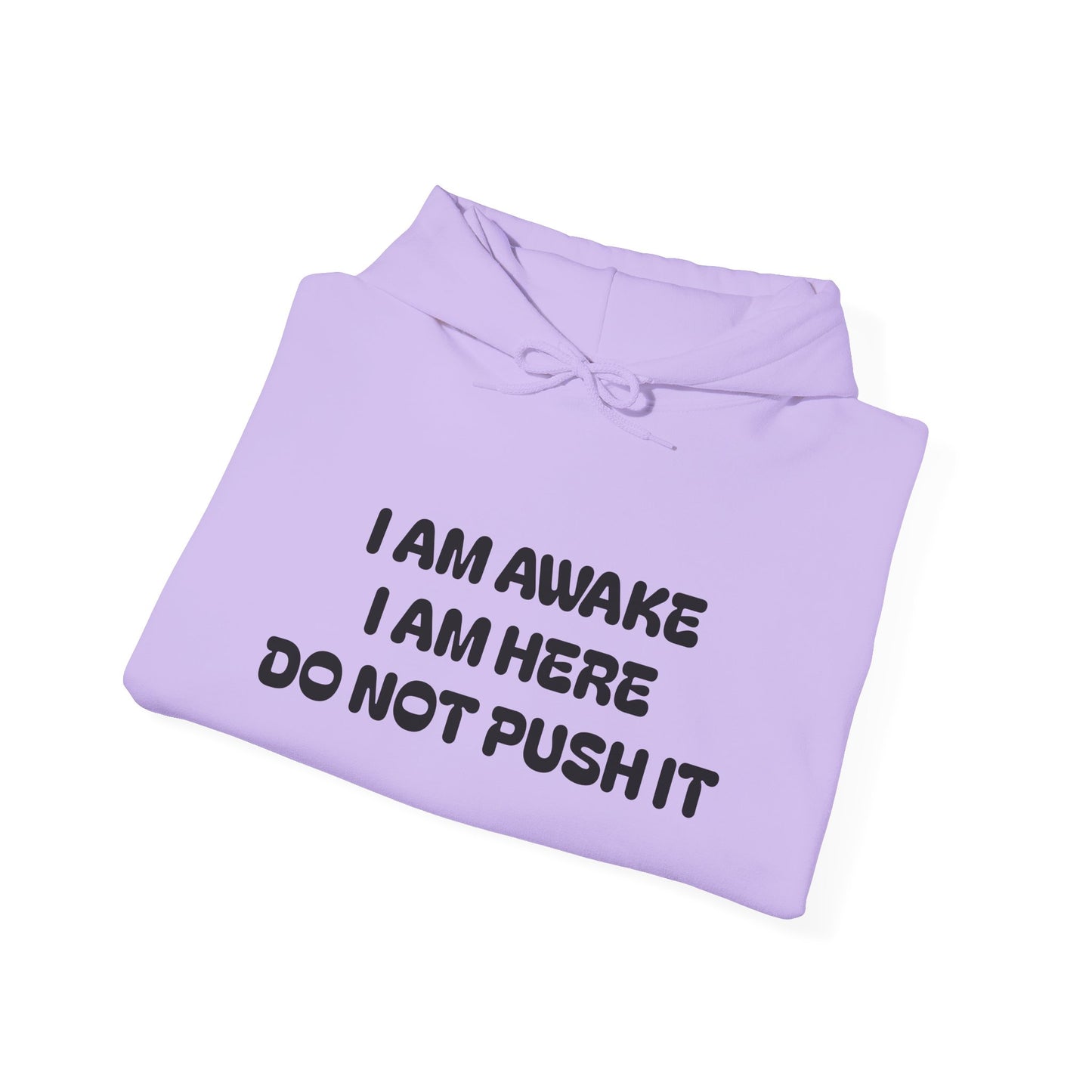 Hooded Sweatshirt - I am Awake I am Here Design