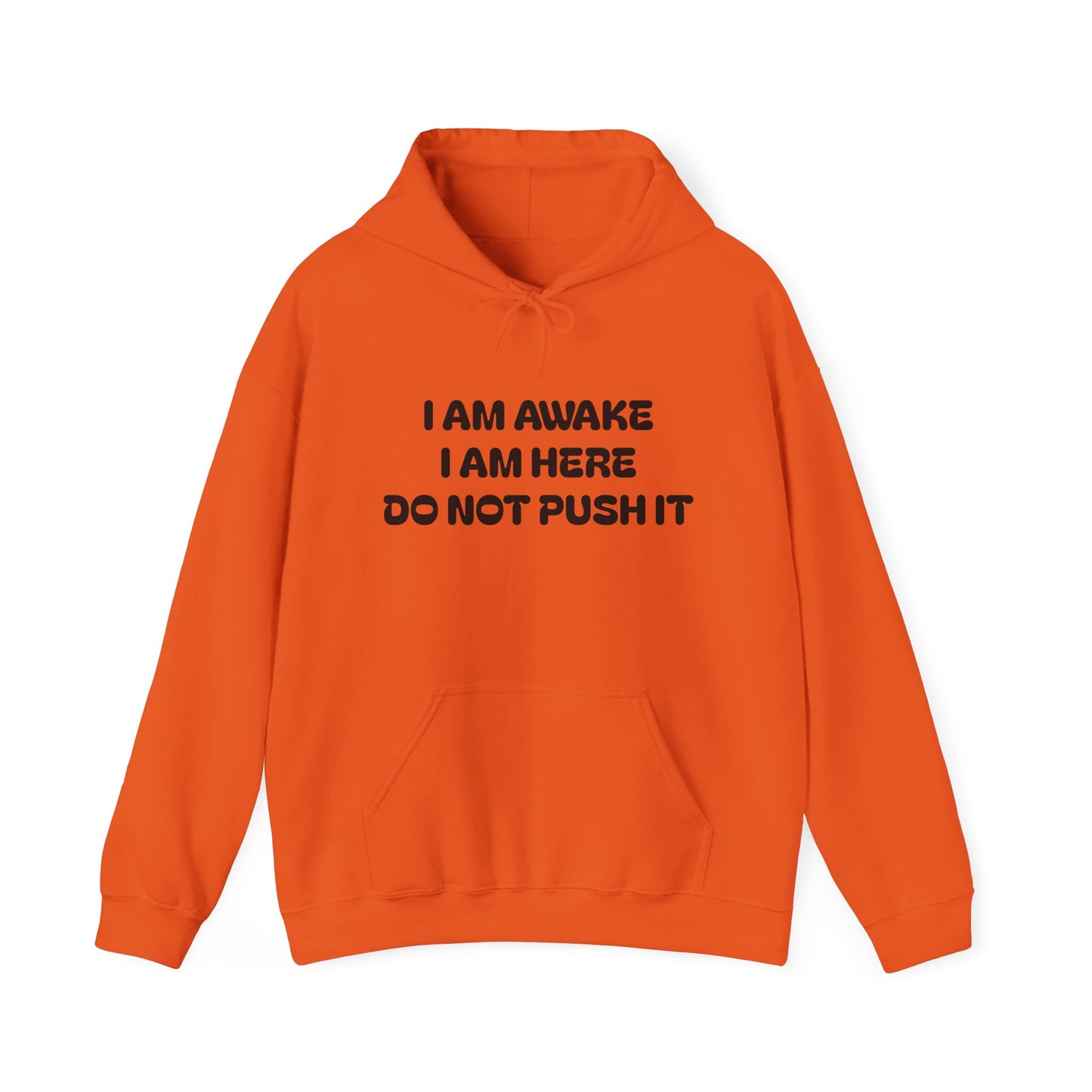 Hooded Sweatshirt - I am Awake I am Here Design