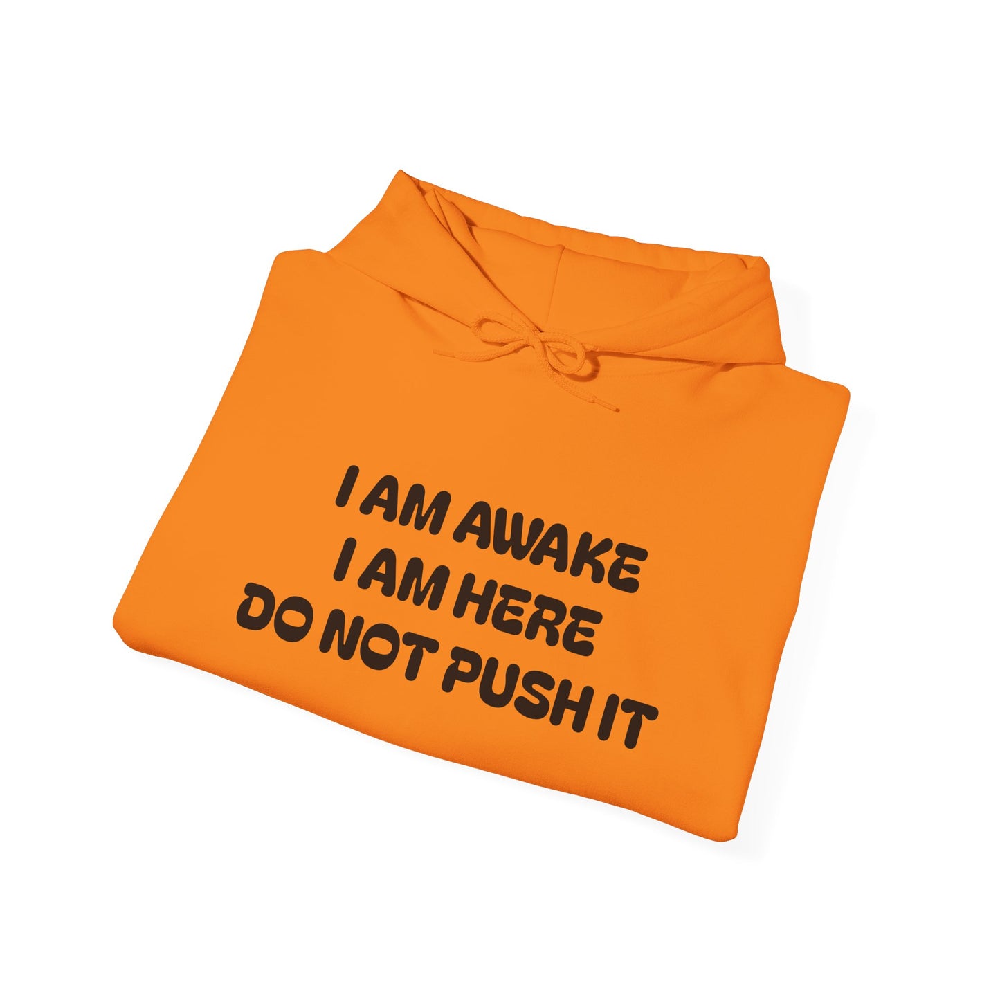 Hooded Sweatshirt - I am Awake I am Here Design