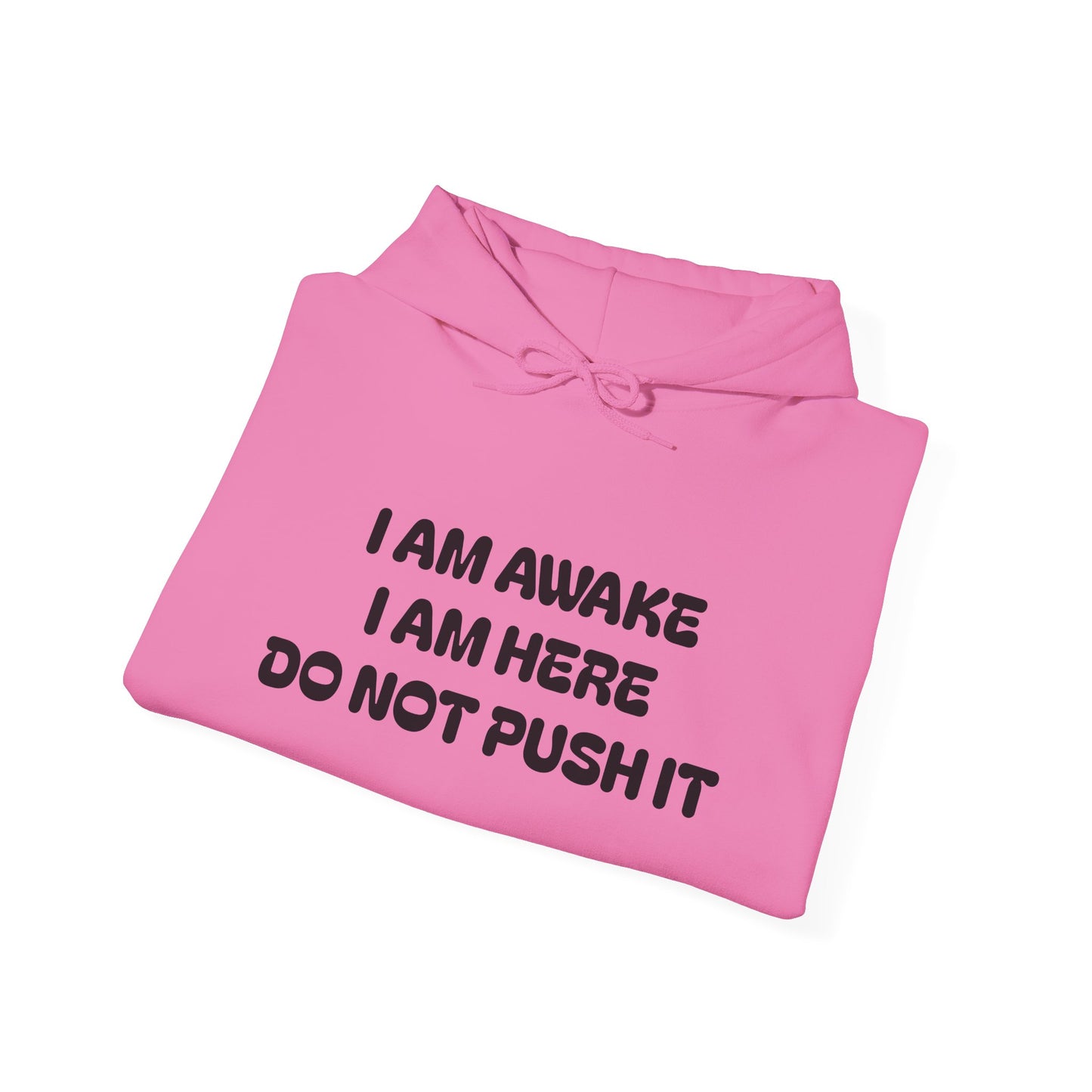Hooded Sweatshirt - I am Awake I am Here Design