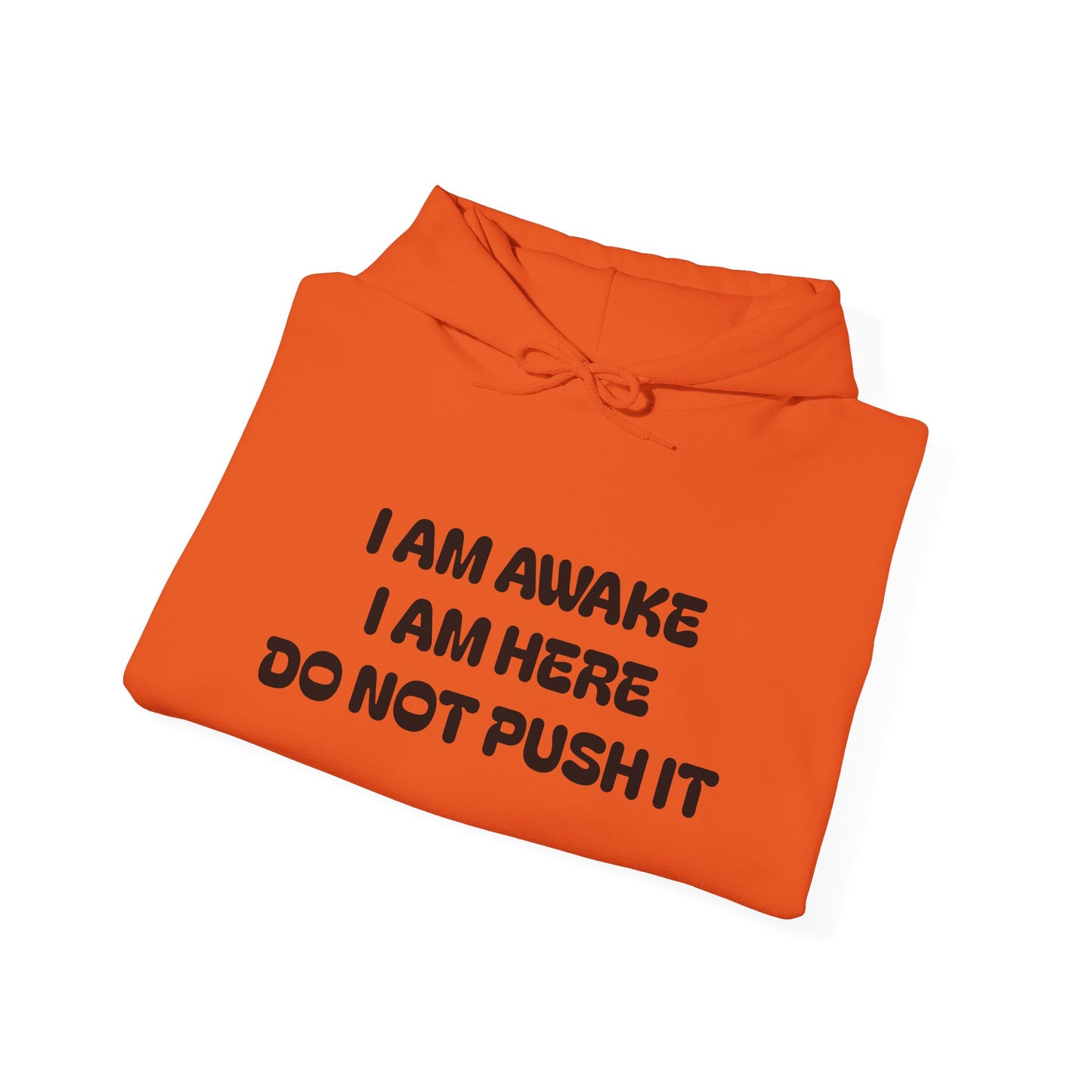 Hooded Sweatshirt - I am Awake I am Here Design