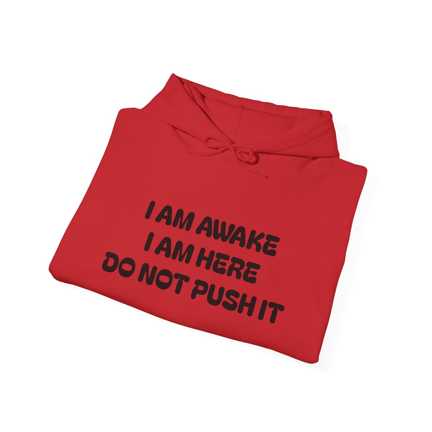 Hooded Sweatshirt - I am Awake I am Here Design